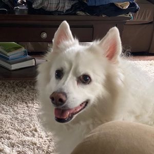 Meet your Posher, Sandy